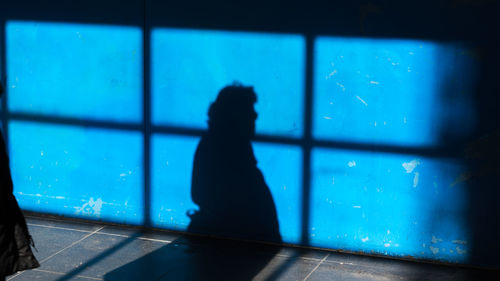 The shadow of a woman on a blue surface