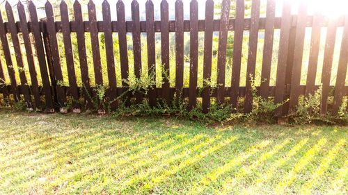 Scenic view of grassy field