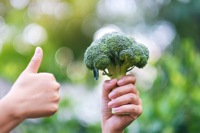 Cropped hand of woman holding broccoli outdoors