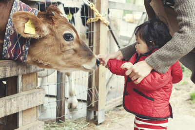 Full length of boy with cat