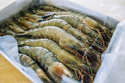 High angle view of shrimp on paper