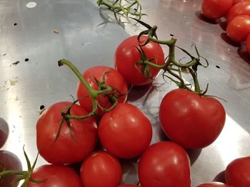 High angle view of tomatoes on table