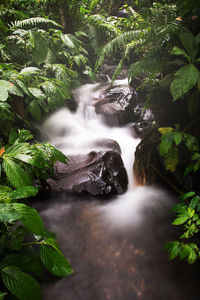 River flowing through rocks