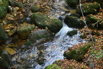 River flowing through rocks in forest