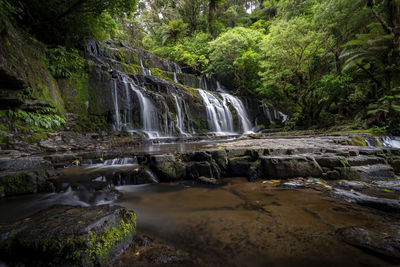 Scenic view of purakanui falls in the forest in the spring afternoon.