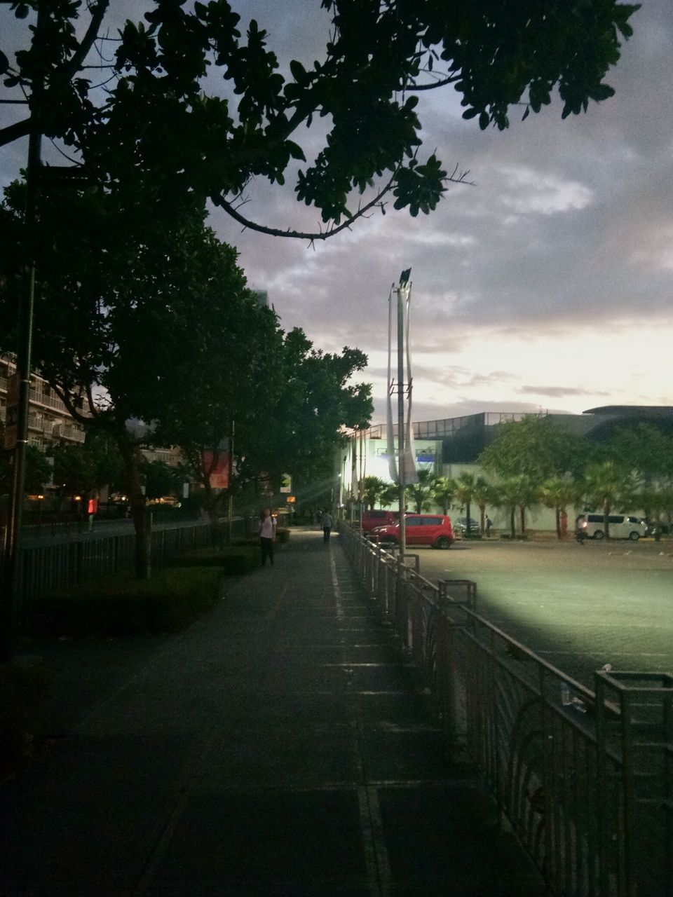 tree, plant, sky, architecture, cloud - sky, nature, built structure, transportation, street, building exterior, city, road, direction, mode of transportation, outdoors, incidental people, the way forward, footpath, connection, car, diminishing perspective