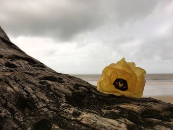 Rock formation in sea against sky