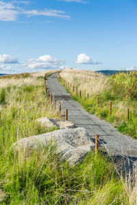 A path leads toward the sky at dune peninsula park in tacoma, washington.
