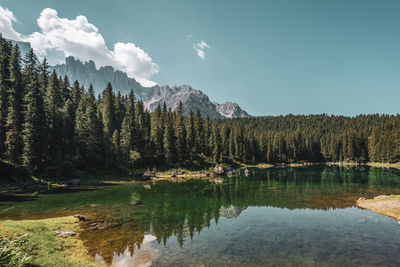 Scenic view of lake by trees against sky