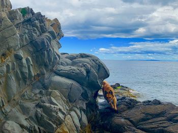 View of rocks on beach against sky