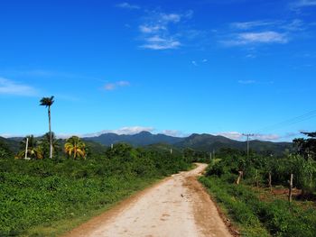 Road amidst field against blue sky