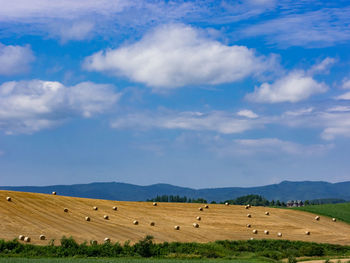 Agricultural field against blue sky
