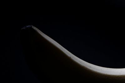 Close-up of leaf against black background