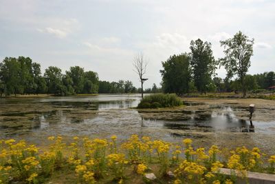 Scenic view of lake and trees against sky