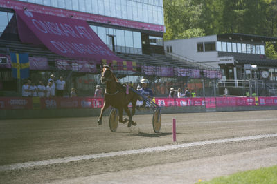 People riding horse cart