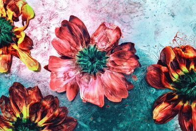 Close-up of flowers