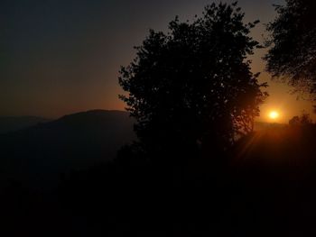 Silhouette of trees at sunset