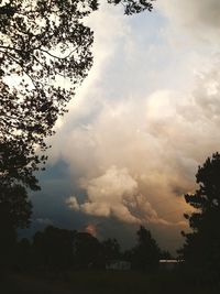 Low angle view of silhouette trees against sky during sunset