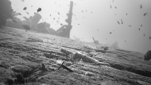 Close-up of water drop on land