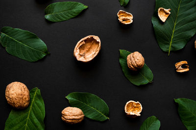 High angle view of leaves on table