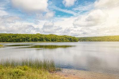 Beautiful landscape day view at canadian ontario kettles lake in midland area. canada forest park 