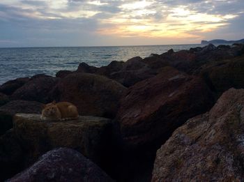 Scenic view of sea against sky