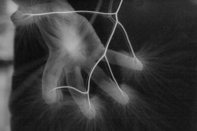 Close-up of human eye against black background