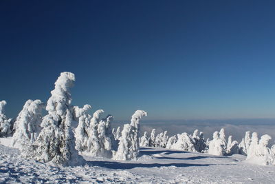 Scenic view of snowcapped landscape against clear blue sky