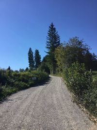 Dirt road amidst trees against clear blue sky