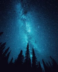 Silhouette trees against sky at night