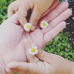 Close-up of girl holding flower