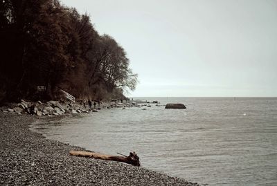 Scenic view of sea against clear sky