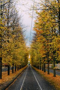 Empty road along trees during autumn