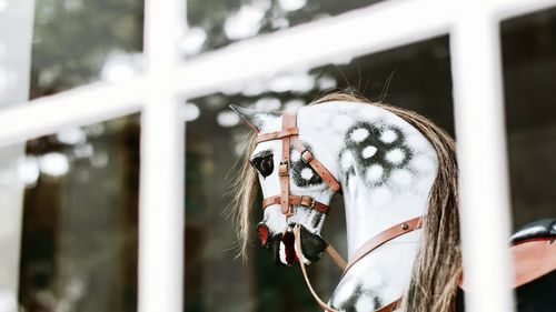 Close-up of toy horse