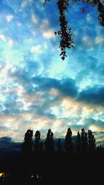 Silhouette of trees against cloudy sky