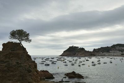 Scenic view of sea and cliff against sky