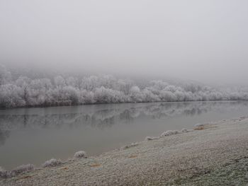 Scenic view of river by trees against sky