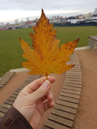 Close-up of hand holding maple leaf during autumn