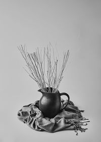 Close-up of plant in vase on table against wall