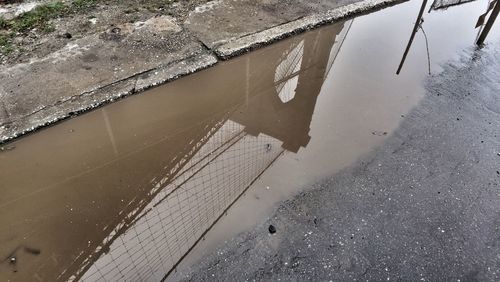 Reflection of trees in puddle