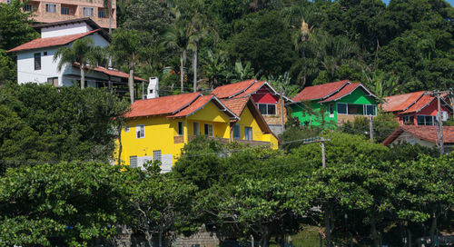 High angle view of houses and trees in village