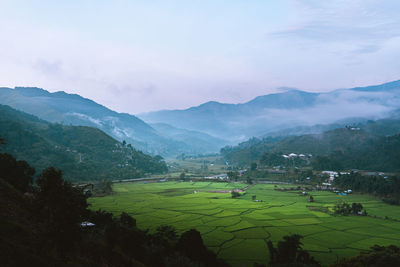 Scenic view of agricultural field against sky