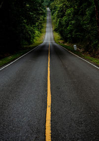 Empty road along trees