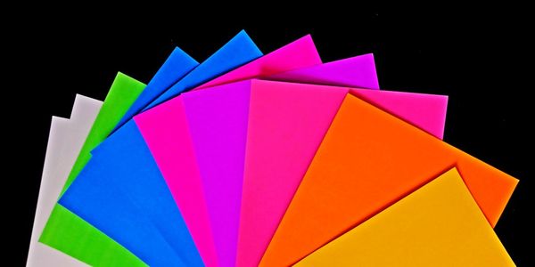 Close-up of multi colored leaves against black background
