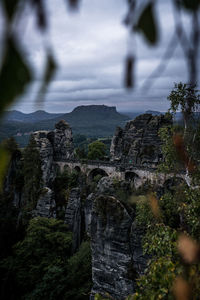 View of trees growing on rock against sky