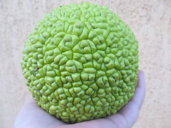 Close up of vegetables