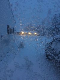 Snow covered trees in winter