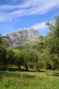 Scenic view of landscape against cloudy sky