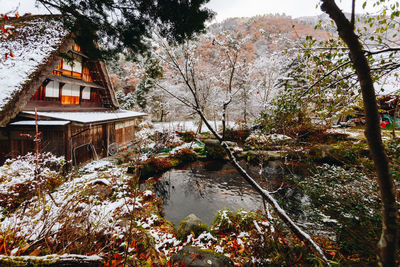 View of trees by river during autumn