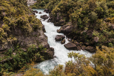 Scenic view of waterfall in forest